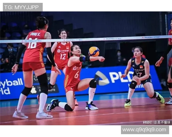 排球心理素质排行榜:成都排球队位居第8名